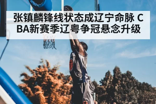 张镇麟锋线状态成辽宁命脉 CBA新赛季辽粤争冠悬念升级 | leisu